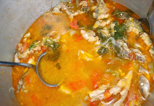 Caldo de peixe caseiro fácil